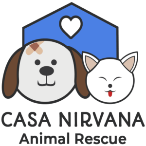 casa nirvana logo